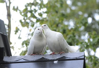 Claus20100904_152732