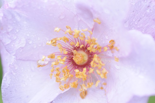 20100911_120537