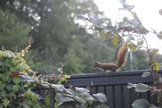claus20100919_143442_02