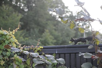 claus20100919_142901