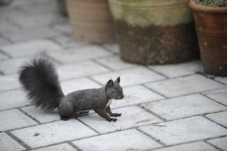 claus20100919_123225