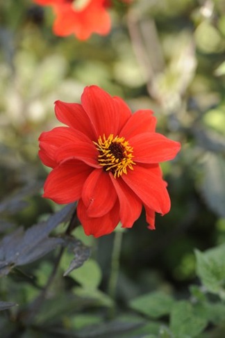 claus20090920_131225