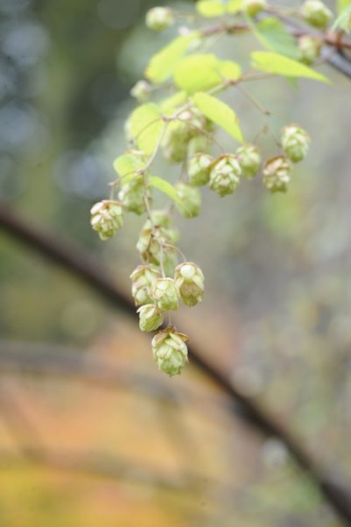 claus20101005_090659