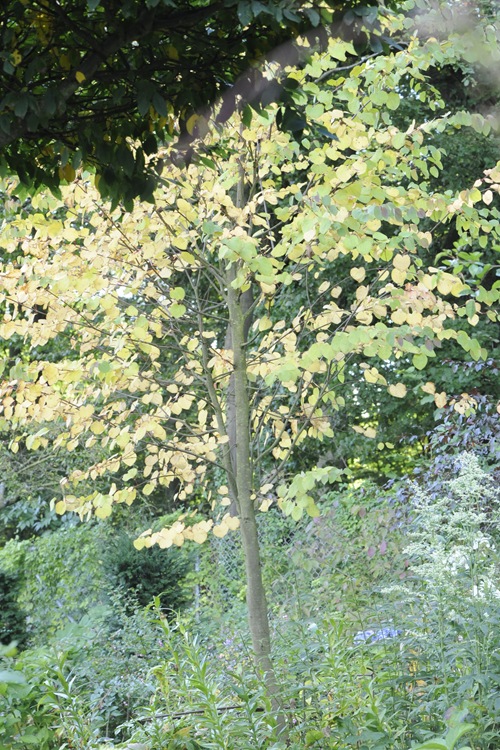20100930_085034