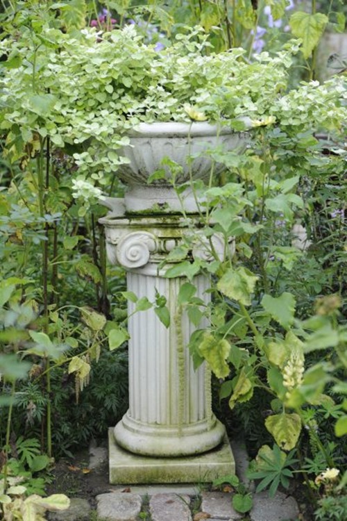 claus20101005_090802
