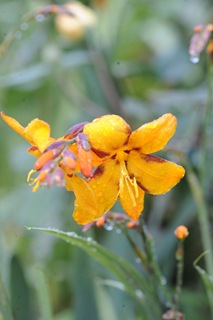 20101019_094139