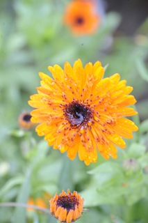 20101019_093909