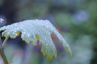 20101019_094026