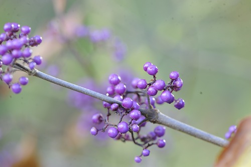 20101019_120132