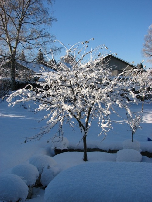 IMG_4055 IMG_4055