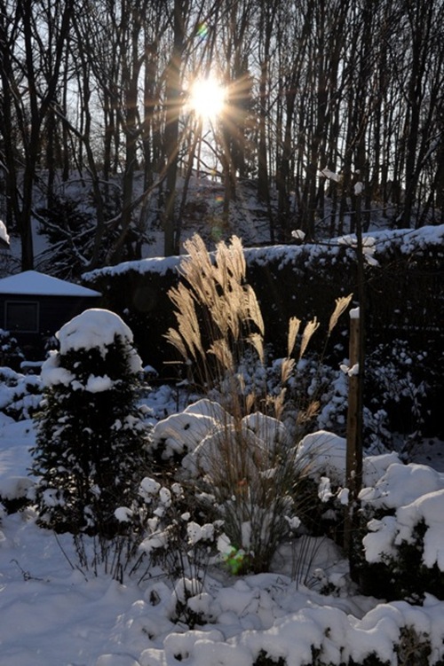 DSC_0027 DSC_0027