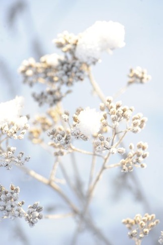 claus20101222_095050