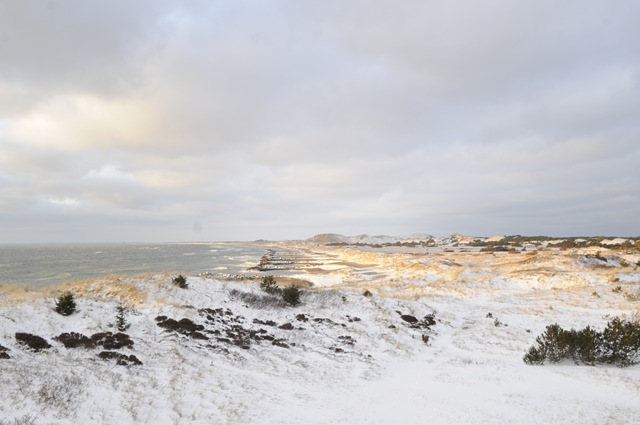[20110218_072727[3].jpg]