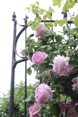 [claus_20100612_09545314.jpg]