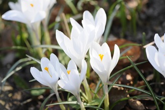 20110411_124242