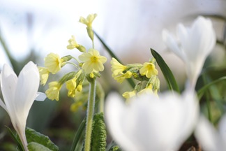 20110411_124205