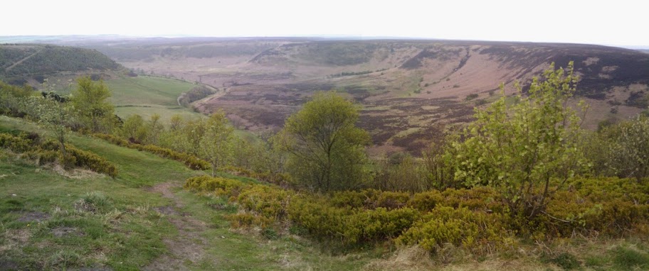 El Codo del Diablo en los Moors (Parque Nacional de Yorkshire)