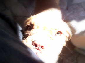 pelado15.jpg