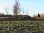  horse fencing
