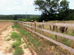  horse fencing