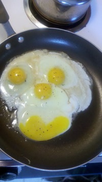 [monkey_eggs[10].jpg]
