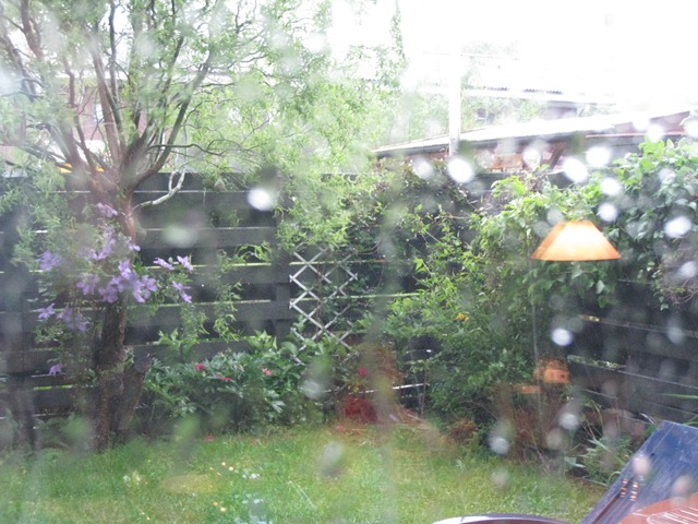 [Regn, regn og atter regn[5].jpg]