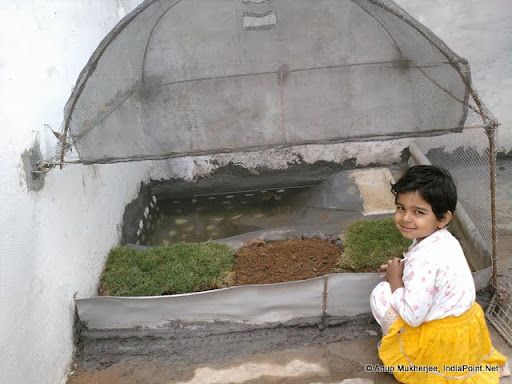 Isha and her Aquarium