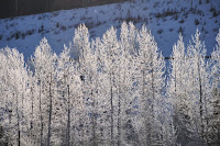 20100221_004_N_FullertonLoop.JPG Photo