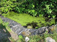 20100522_Heidi_England_1071.JPG Photo