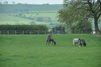 20100523_1108_N_England.JPG Photo
