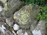 20100527_Heidi_England_2441.JPG Photo