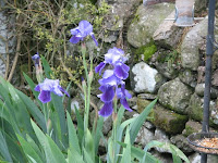 20100527_Heidi_England_2437.JPG Photo