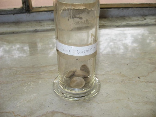 [nux vomica seeds - pharmacology specimen for identification[2].jpg]