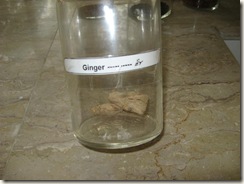 ginger - soonth specimen-pharmacology