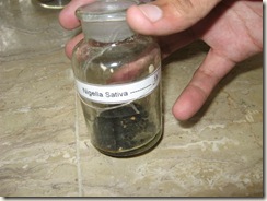 nigella sativa specimen pharmacology