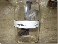 amaltas - specimen pharmacology lab