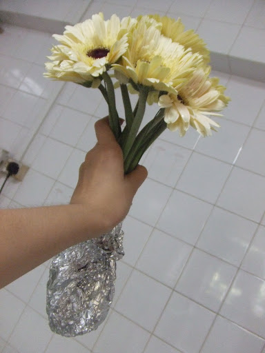 watson facial cotton + AL foil