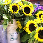 Granville Island Public Market - Vancouver, BC