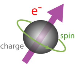 Spin