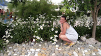 IMG_6642.JPG