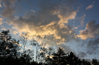 Summer sunset over the pines & poplars. Summer sunset over the pines & poplars.