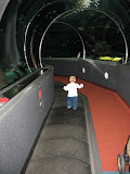 IMG_5037.JPG