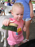 IMG_5603.JPG