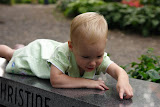 CRW_8671.JPG