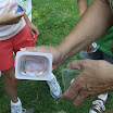 day camp 7 016.jpg