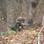 PA310101.JPG