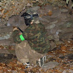 2009 - Camptoberfest