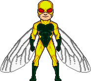 Fly