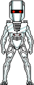 Rom BRM