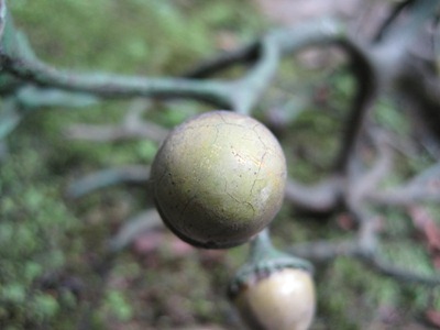 IMG_4061 IMG_4061